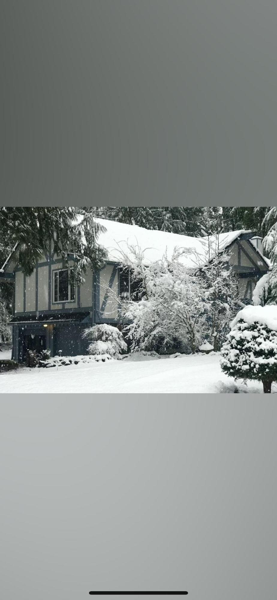 Mount Hood Village Cozy Bird House W Big Screen! المظهر الخارجي الصورة